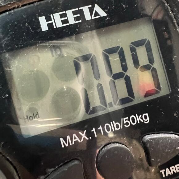 Chicos Shirt Jacket Women L Chocolate Brown Button Pockets Modern Travel Shacket - Picture 15 of 15